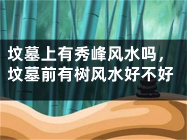 坟墓上有秀峰风水吗,坟墓前有树风水好不好