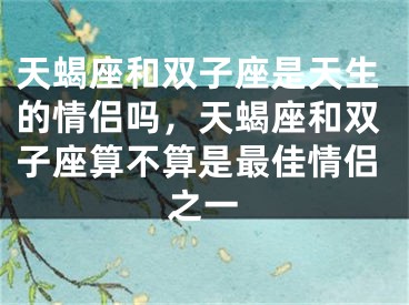 天蝎座和双子座是天生的情侣吗,天蝎座和双子座算不算是最佳情侣之一