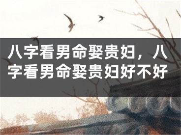 八字看男命娶贵妇，八字看男命娶贵妇好不好