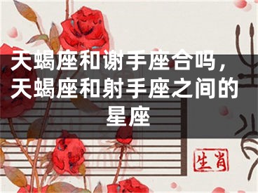 天蝎座和谢手座合吗,天蝎座和射手座之间的星座