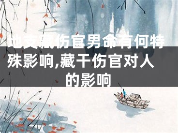 地支藏伤官男命有何特殊影响,藏干伤官对人的影响