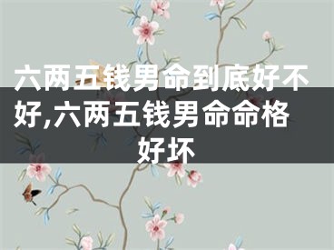 六两五钱男命到底好不好,六两五钱男命命格好坏