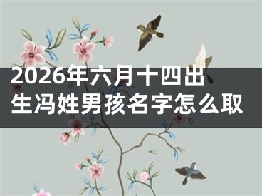 2026年六月十四出生冯姓男孩名字怎么取