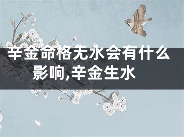 辛金命格无水会有什么影响,辛金生水