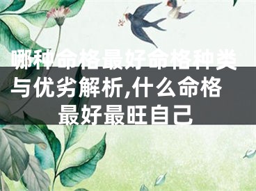 哪种命格最好命格种类与优劣解析,什么命格最好最旺自己