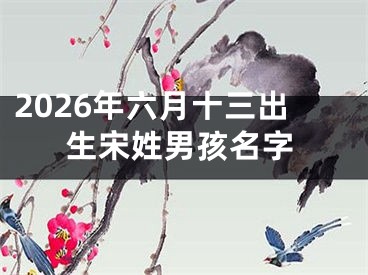 2026年六月十三出生宋姓男孩名字