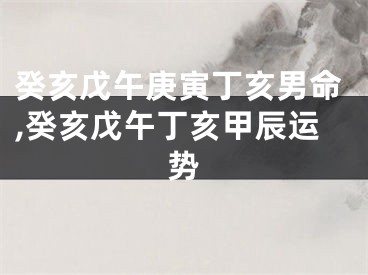 癸亥戊午庚寅丁亥男命,癸亥戊午丁亥甲辰运势