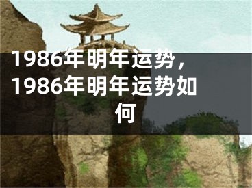 1986年明年运势，1986年明年运势如何