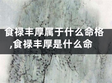 食禄丰厚属于什么命格,食禄丰厚是什么命
