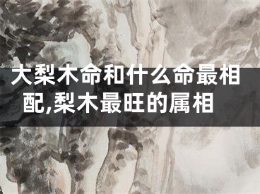 大梨木命和什么命最相配,梨木最旺的属相
