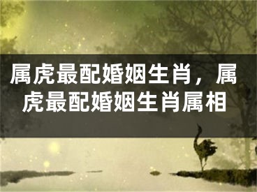 属虎最配婚姻生肖，属虎最配婚姻生肖属相