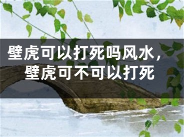 壁虎可以打死吗风水，壁虎可不可以打死