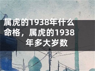 属虎的1938年什么命格，属虎的1938年多大岁数