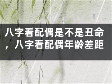 八字看配偶是不是丑命，八字看配偶年龄差距