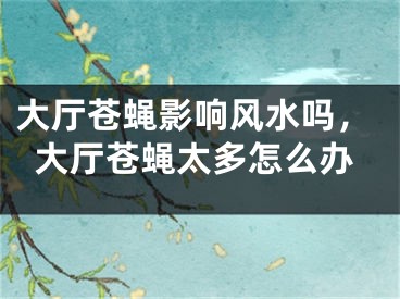 大厅苍蝇影响风水吗，大厅苍蝇太多怎么办