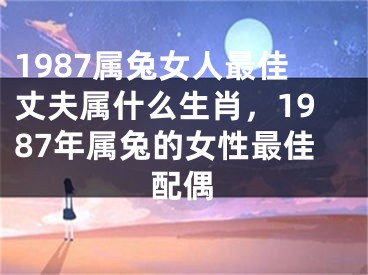 1987属兔女人最佳丈夫属什么生肖,1987年属兔的女性最佳配偶
