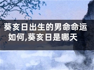 葵亥日出生的男命命运如何,葵亥日是哪天