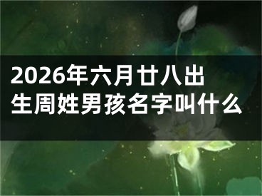 2026年六月廿八出生周姓男孩名字叫什么