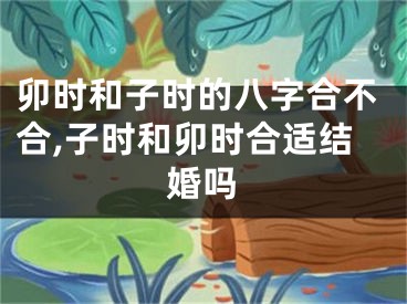卯时和子时的八字合不合,子时和卯时合适结婚吗