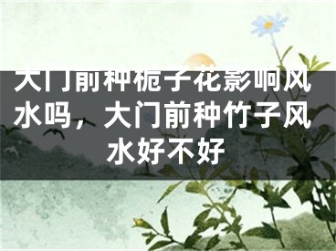 大门前种栀子花影响风水吗，大门前种竹子风水好不好