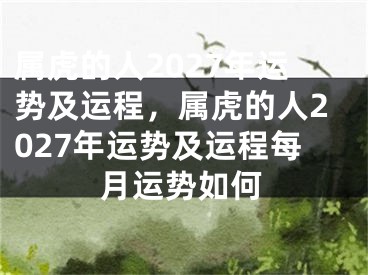 属虎的人2027年运势及运程，属虎的人2027年运势及运程每月运势如何