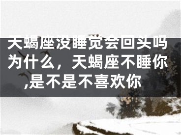 天蝎座没睡觉会回头吗为什么,天蝎座不睡你,是不是不喜欢你