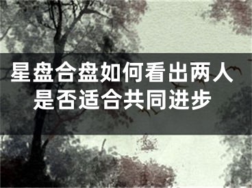 星盘合盘如何看出两人是否适合共同进步