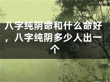 八字纯阴命和什么命好,八字纯阴多少人出一个