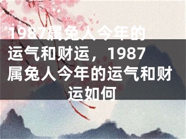 1987属兔人今年的运气和财运,1987属兔人今年的运气和财运如何