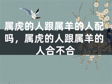 属虎的人跟属羊的人配吗，属虎的人跟属羊的人合不合