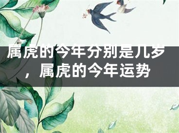 属虎的今年分别是几岁，属虎的今年运势