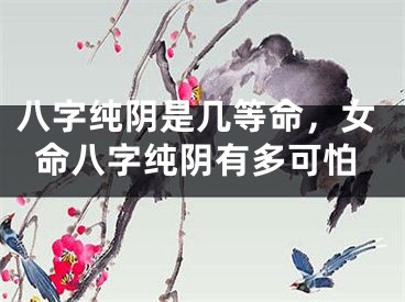 八字纯阴是几等命，女命八字纯阴有多可怕