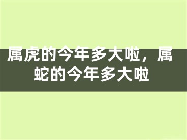 属虎的今年多大啦，属蛇的今年多大啦