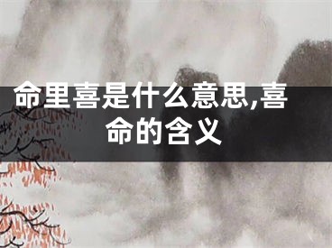 命里喜是什么意思,喜命的含义