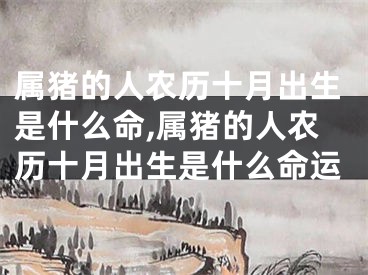 属猪的人农历十月出生是什么命,属猪的人农历十月出生是什么命运