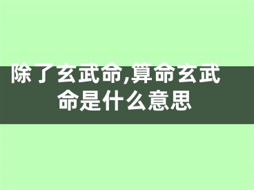 除了玄武命,算命玄武命是什么意思