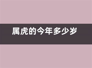 属虎的今年多少岁