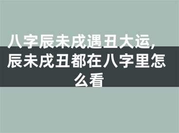 八字辰未戌遇丑大运,辰未戌丑都在八字里怎么看
