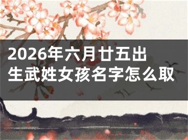 2026年六月廿五出生武姓女孩名字怎么取