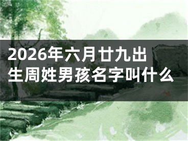 2026年六月廿九出生周姓男孩名字叫什么