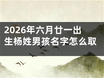 2026年六月廿一出生杨姓男孩名字怎么取