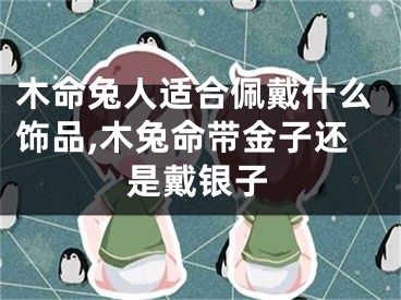 木命兔人适合佩戴什么饰品,木兔命带金子还是戴银子