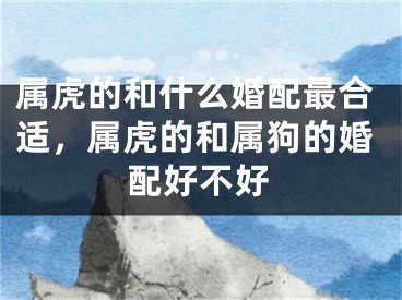 属虎的和什么婚配最合适，属虎的和属狗的婚配好不好