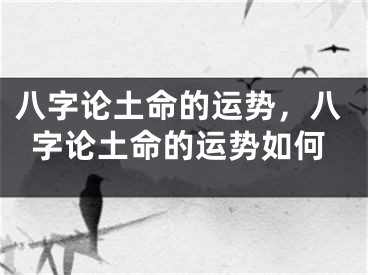八字论土命的运势，八字论土命的运势如何