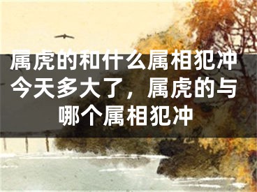 属虎的和什么属相犯冲今天多大了，属虎的与哪个属相犯冲