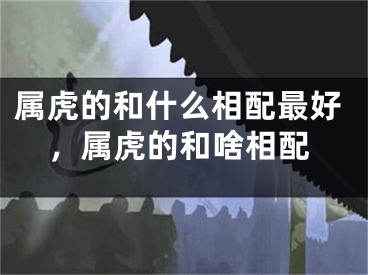 属虎的和什么相配最好，属虎的和啥相配