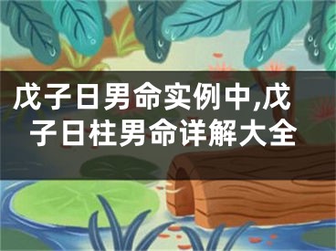 戊子日男命实例中,戊子日柱男命详解大全