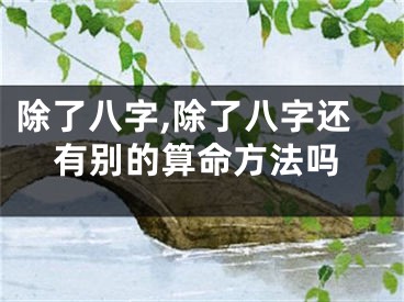 除了八字,除了八字还有别的算命方法吗