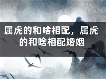 属虎的和啥相配，属虎的和啥相配婚姻