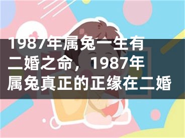 1987年属兔一生有二婚之命,1987年属兔真正的正缘在二婚